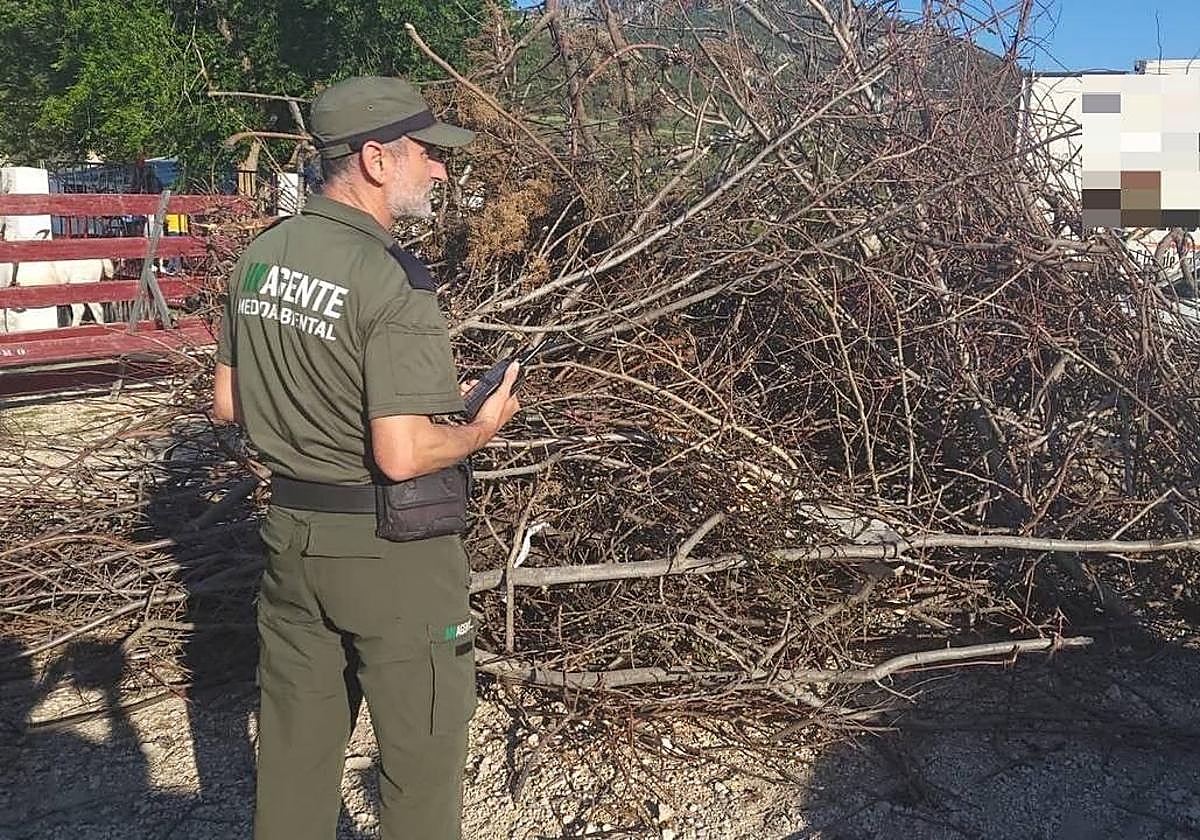 Un agente medioambiental, durante el operativo de San Juan del pasado año.
