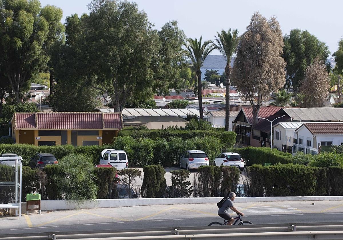 Un ciclista pasea, este lunes, frente a las instalaciones del camping de La Manga.