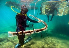 Arqueólogos extraen uno de los fragmentos del casco del barco fenicio 'Mazarrón 2'.
