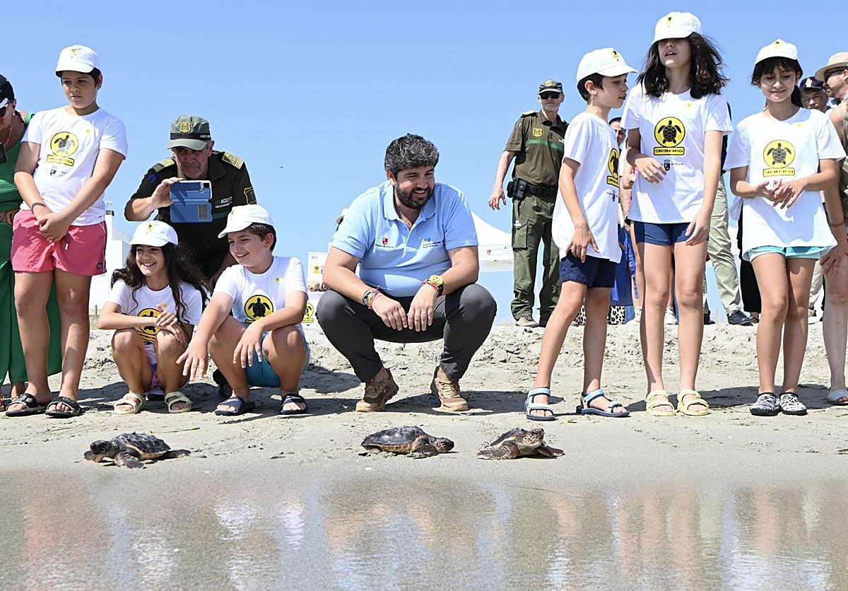El Gobierno regional libera 30 tortugas bobas en La Manga y prosigue su recuperación y protección con el programa 'Territorio Tortuga'