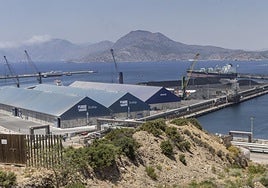 Naves y terrenos disponibles en el muelle polivalente de la dársena de Escombreras en una imagen de este viernes.