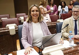 Conchita Ruiz, este miércoles, en la Asamblea.
