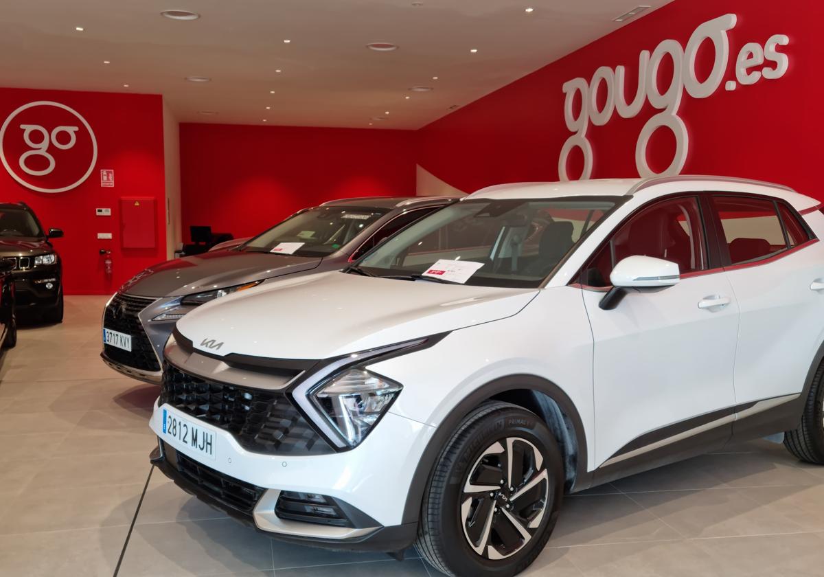 Gougo.es sigue creciendo para acercar la movilidad al cliente