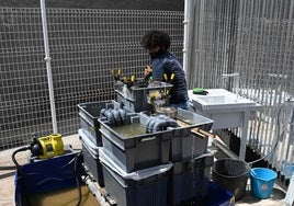 Dispositivo de lavado de muestras arqueológicas desarrollado por la UMU.