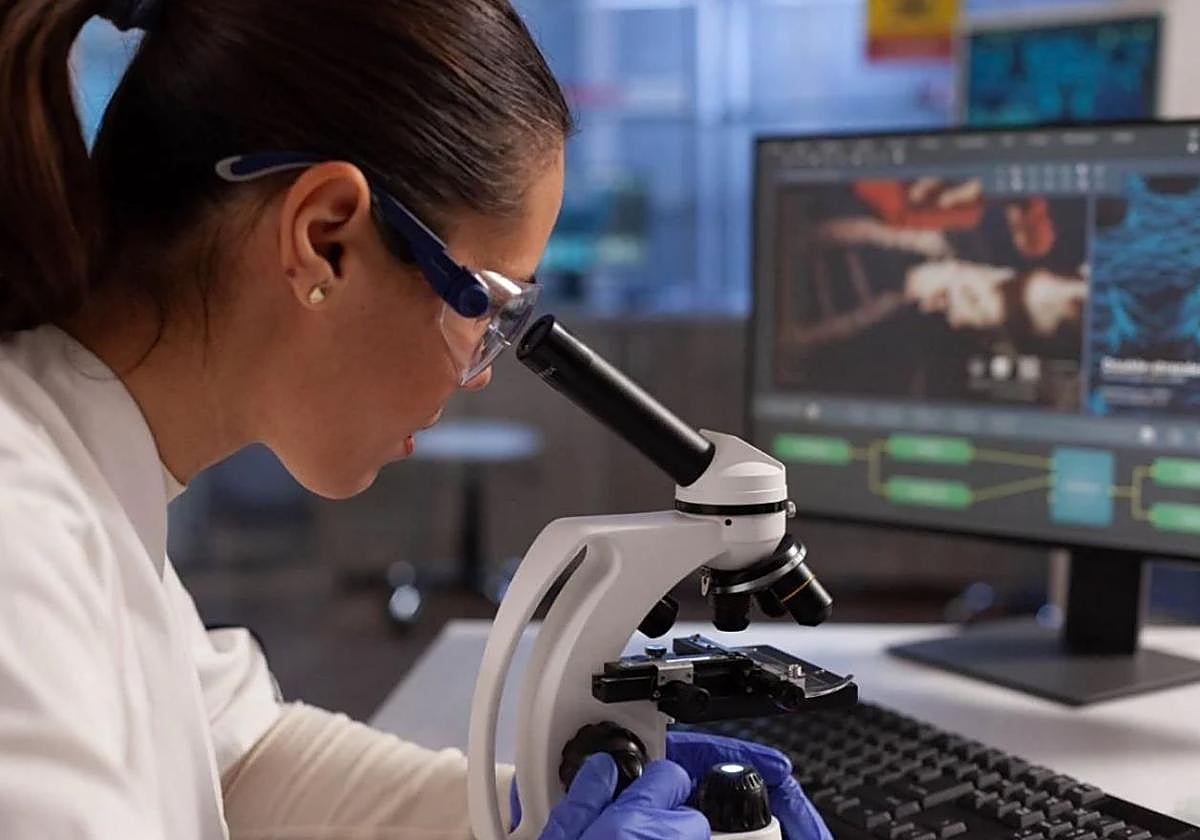 Una investigadora mira por un microscopio.
