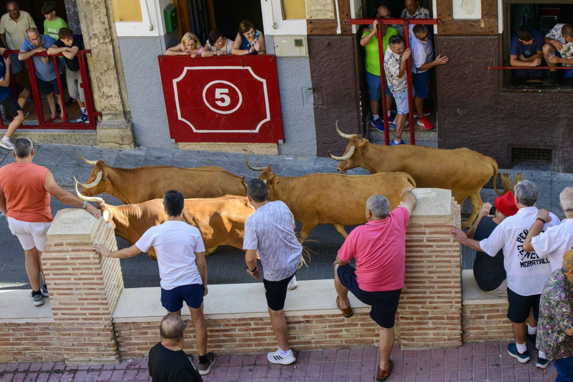 El encierro de Moratalla de este viernes, en imágenes