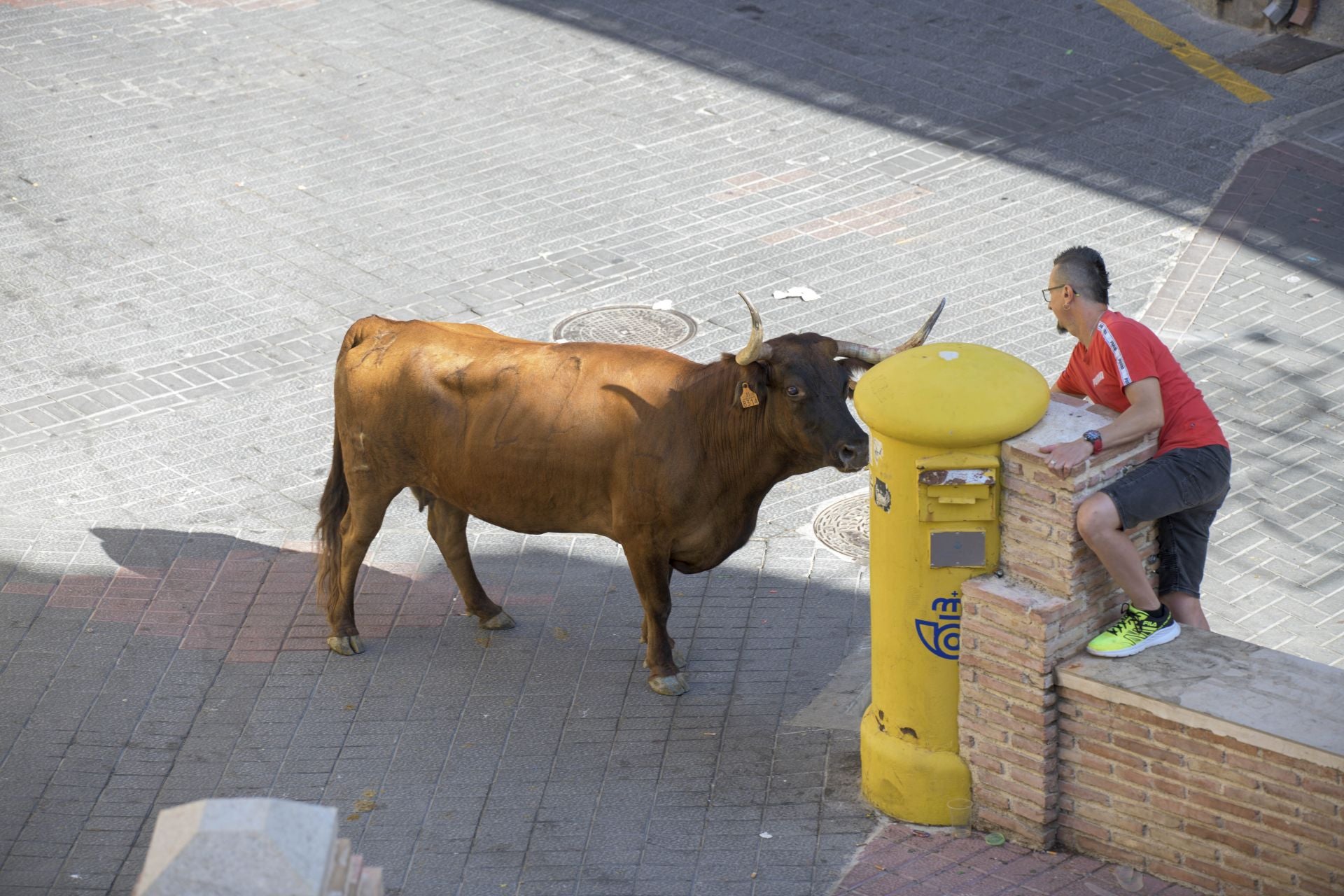 El encierro de Moratalla de este viernes, en imágenes