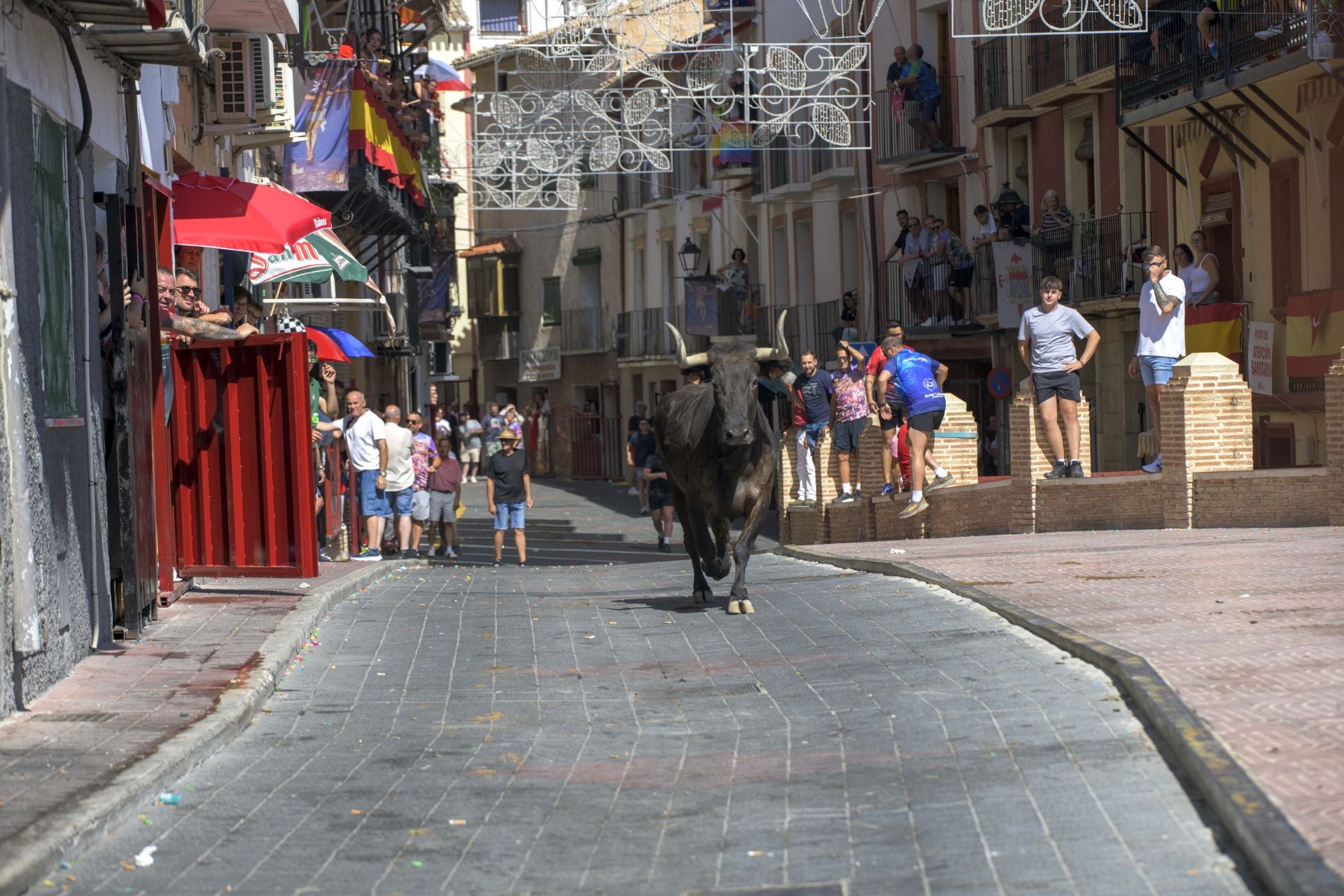 El encierro de Moratalla de este viernes, en imágenes