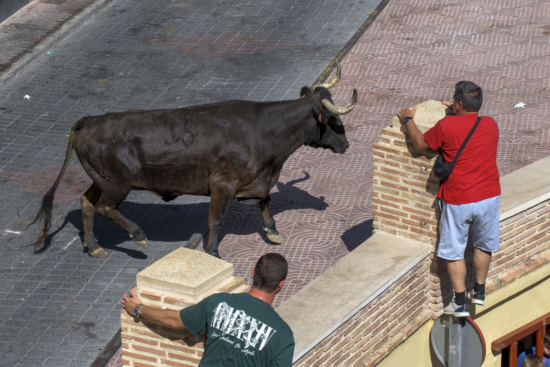 El encierro de Moratalla de este viernes, en imágenes