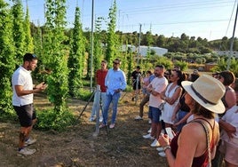 Visita a los campos de lúpulo de la Casa Mauro (APCOM)