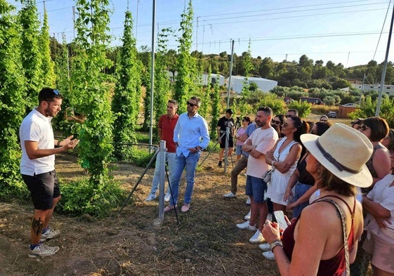 Visita a los campos de lúpulo de la Casa Mauro (APCOM)