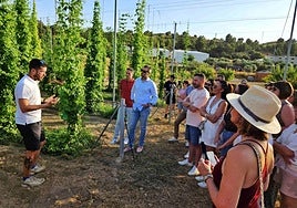 Asistentes a la visita guiada celebrada en Casa Mauro, en Archivel.