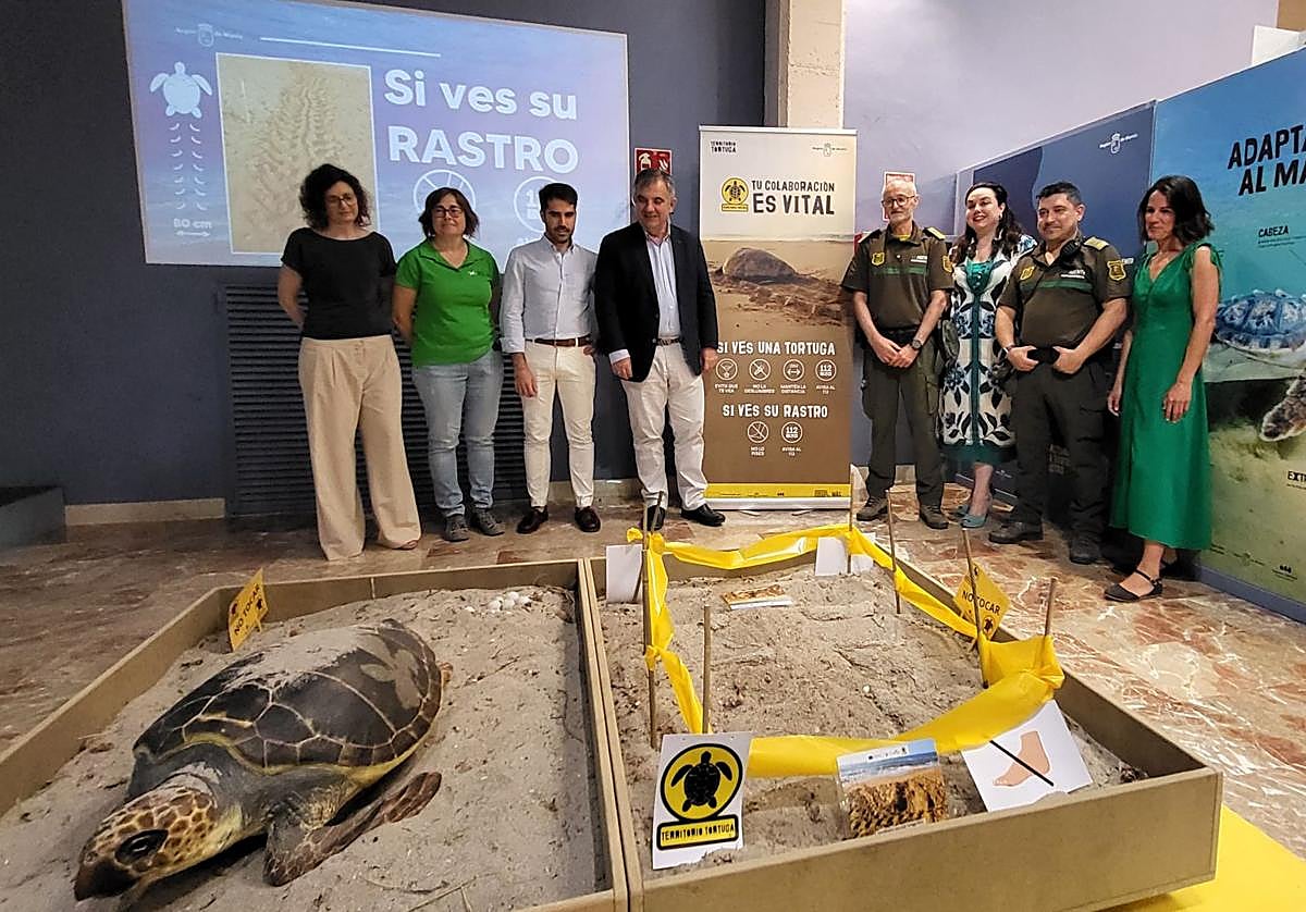La exposición 'Territorio Tortuga' abre sus puertas en el Museo de la Ciencia y el Agua de Murcia