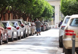 Un gorrilla desarrolla su actividad en una de las principales calles del barrio de Vistabella.
