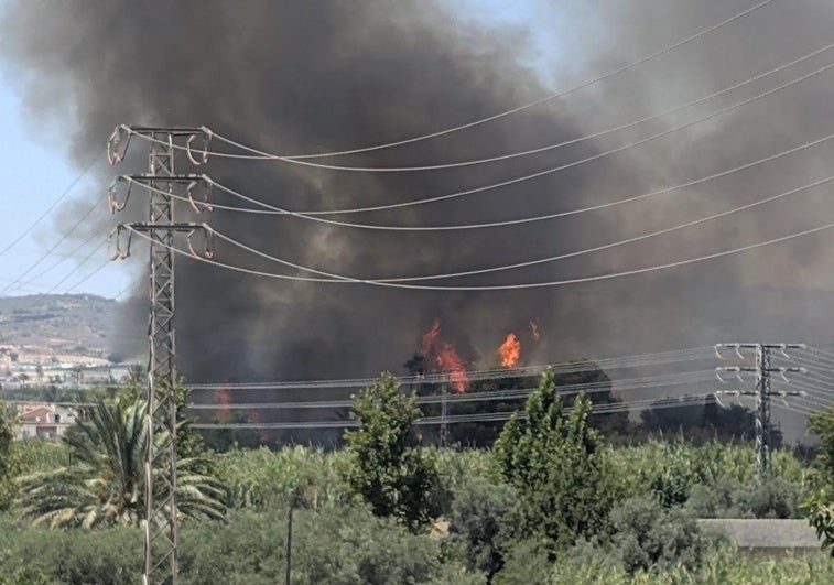 El incendio y la gran columna de humo que está produciendo.