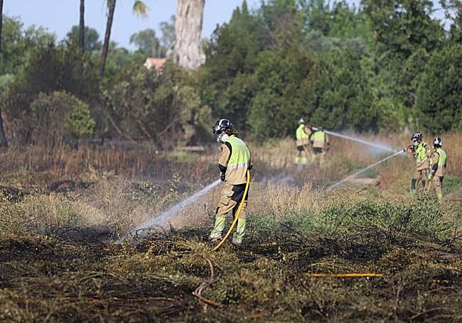 Efectivos de bomberos trabajan en el incendio.