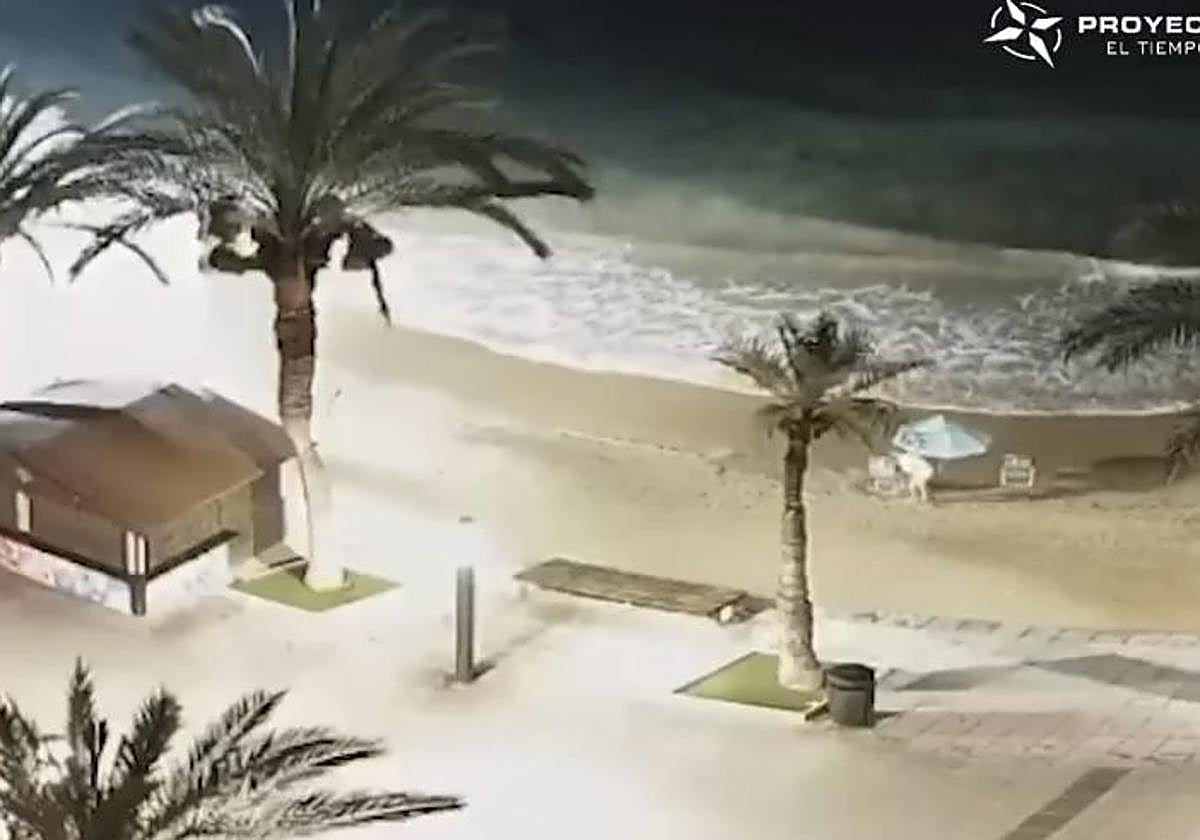 Un bañista coloca su sombrilla en una playa de Torrevieja de madrugada: «Todavía es noche cerrada».