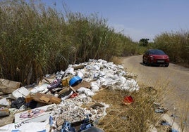 Escombros y otros desechos en el camino de servicio de la acequia Churra la Vieja, en El Puntal.