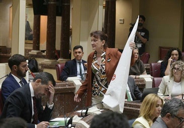 Vox se querella contra la diputada de Podemos María Marín por 'regalarle' a Antelo un capirote del Ku Klux Klan en la Asamblea