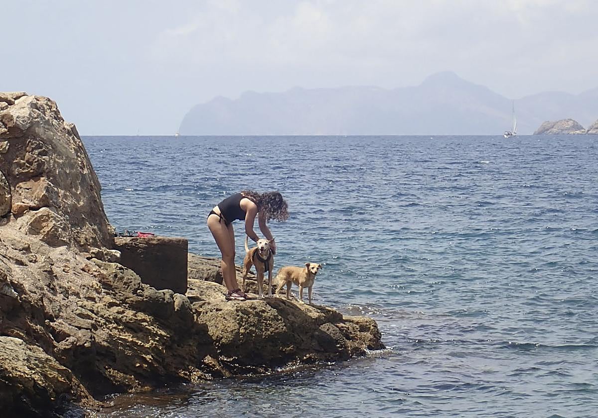 Baño tranquilo en las calas de Cartagena, en imágenes