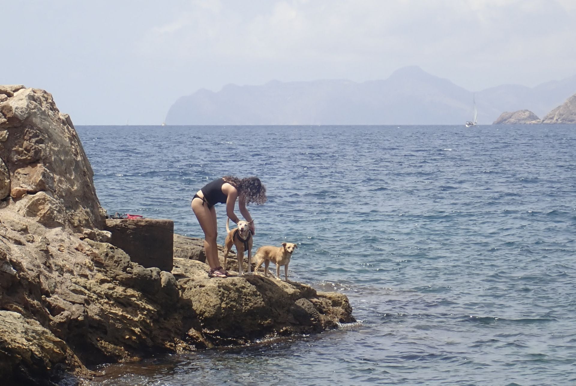 Baño tranquilo en las calas de Cartagena, en imágenes