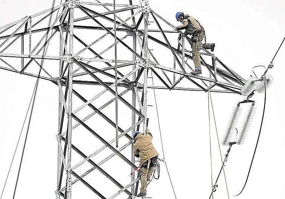 Trabajadores reparan un tendido eléctrico.