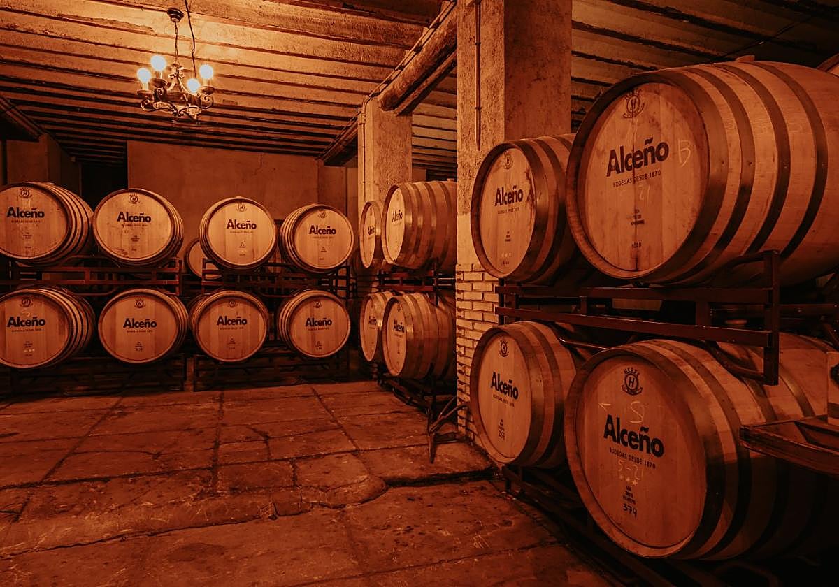 Barricas de Bodegas Alceño.