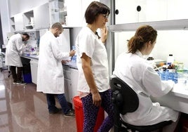 Investigadores en las instalaciones del IMIB, en una imagen de archivo.