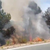 Los incendios provocados en el monte de Bullas.