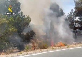 Los incendios provocados en el monte de Bullas.