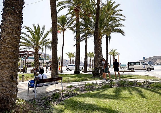 Una de las últimas intervenciones fueron los caminos de albero que cruzan la plaza y el monumento.