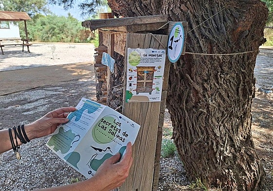 Yincana realizada en el entorno del Centro de Visitantes del Parque Regional de las Salinas de San Pedro, en una imagen de archivo.