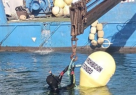 Un buzo instala una de las boyas en el entorno de las islas centrales del Mar Menor.