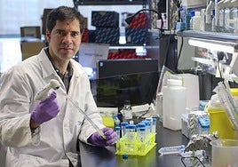 El biólogo cartagenero David Sancho, jefe del Laboratorio de Inmunología del CNIC, en las instalaciones del centro en Madrid.