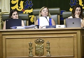 La alcaldesa de Jumilla, Severa González, del PP, durante el Pleno para la aprobación del Presupuesto municipal celebrado el miércoles.