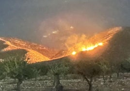 Fuego en la Sierra de Los Hermanillos, en Jumilla, este jueves.