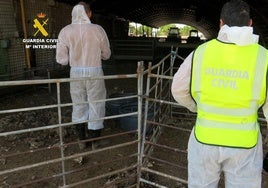 Dos de los agentes inspeccionan la granja.