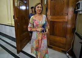 La regidora jumillana entra, este viernes, al salón de plenos municipal.