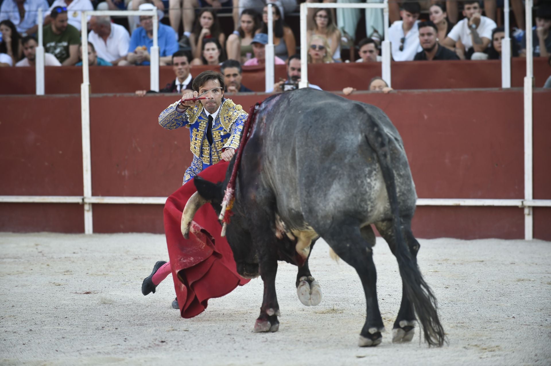La novillada del domingo de la Feria de Blanca, en imágenes