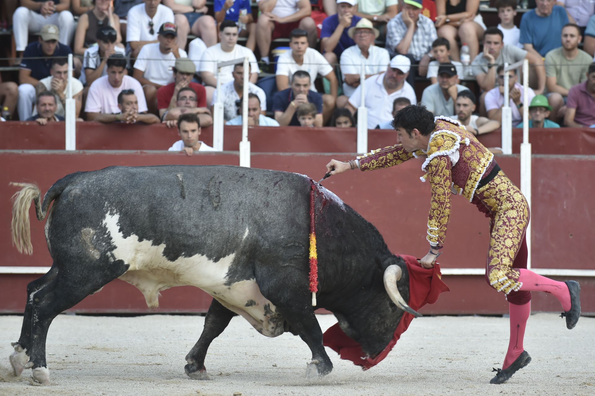 La novillada del domingo de la Feria de Blanca, en imágenes