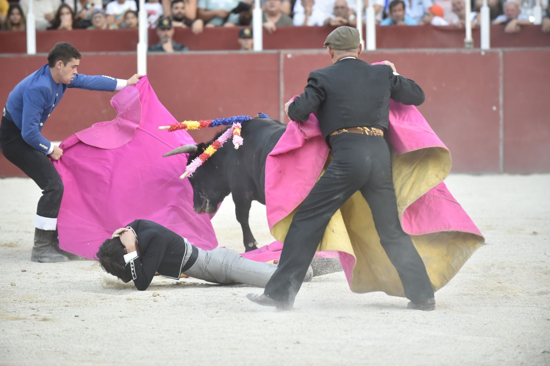 La novillada del domingo de la Feria de Blanca, en imágenes
