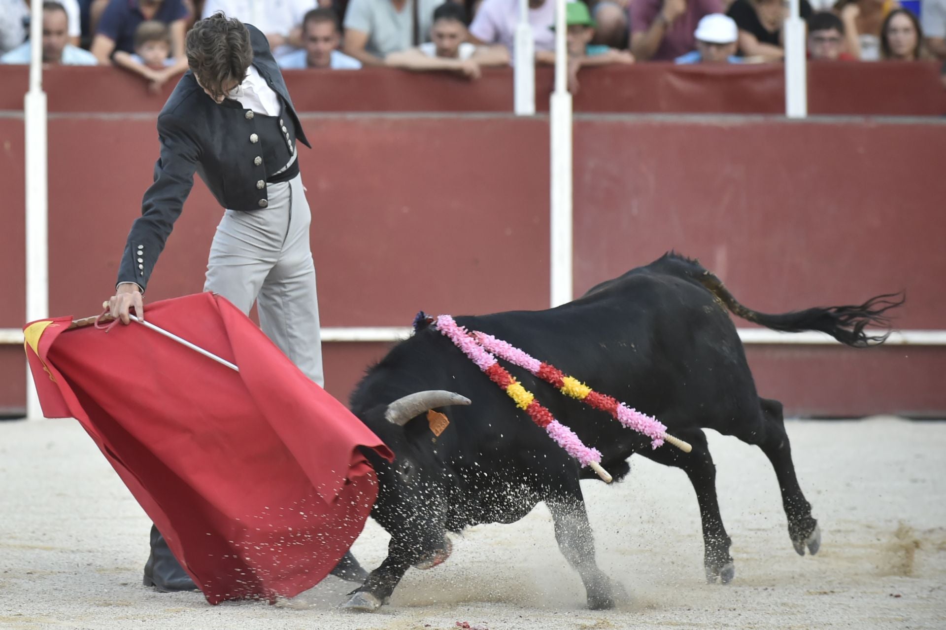 La novillada del domingo de la Feria de Blanca, en imágenes
