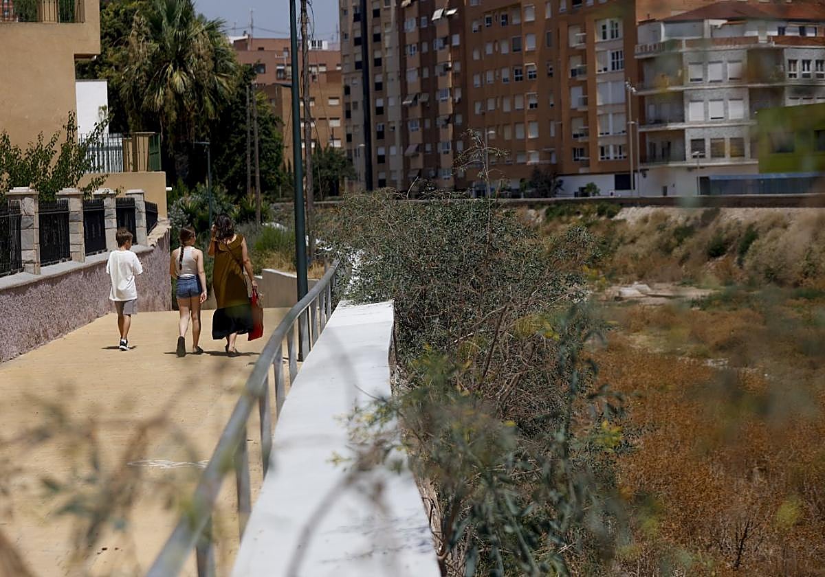 Tramo de la rambla de Benipila, a la altura del Barrio de la Concepción, con maleza, en la que se prevé actuar en fechas próximas.
