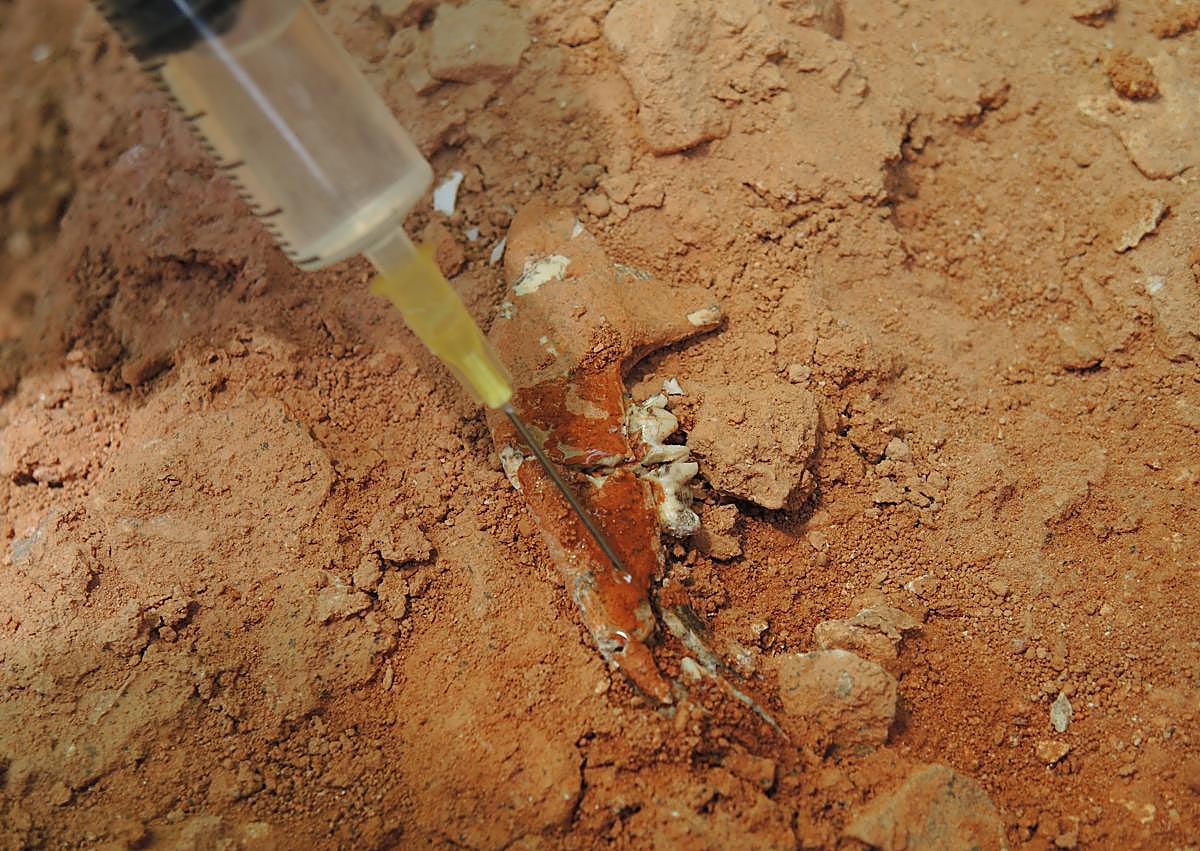 Imagen secundaria 1 - Los arqueólogos excavan en el yacimiento de Quibas.