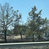 Bomberos trabajan en uno de los focos del incendio.