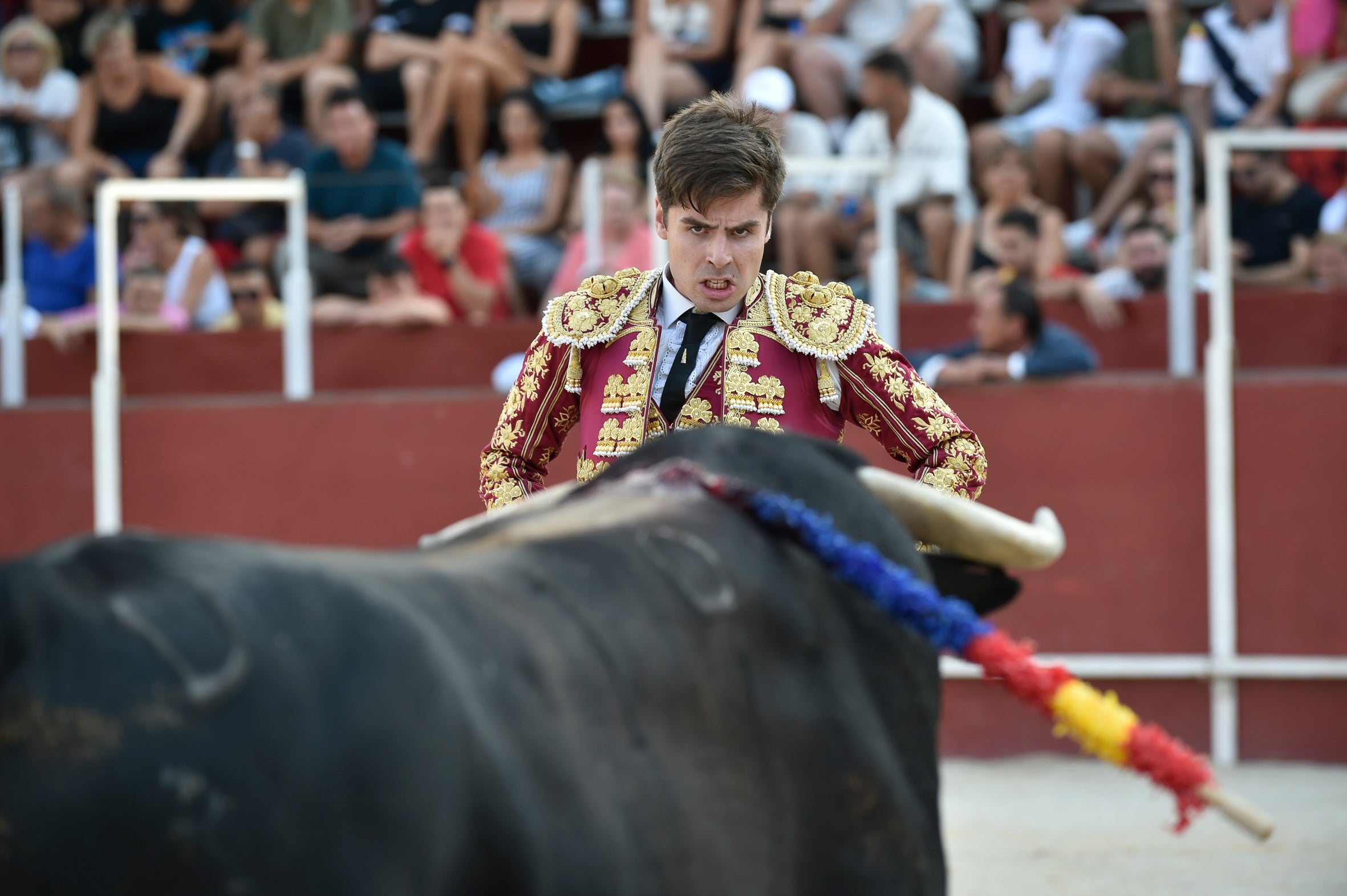 La segunda novillada de la Feria de Blanca, en imágenes