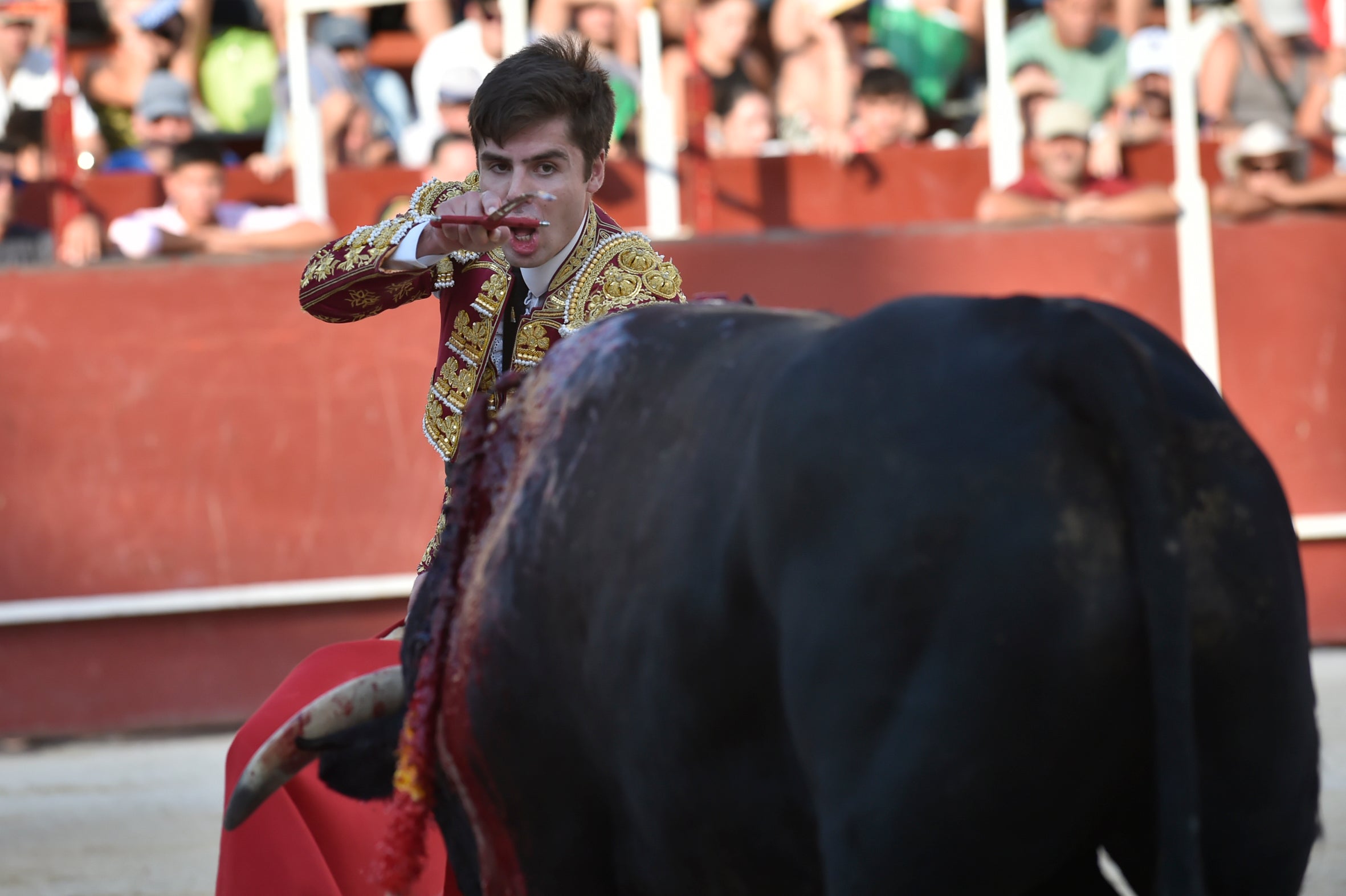 La segunda novillada de la Feria de Blanca, en imágenes