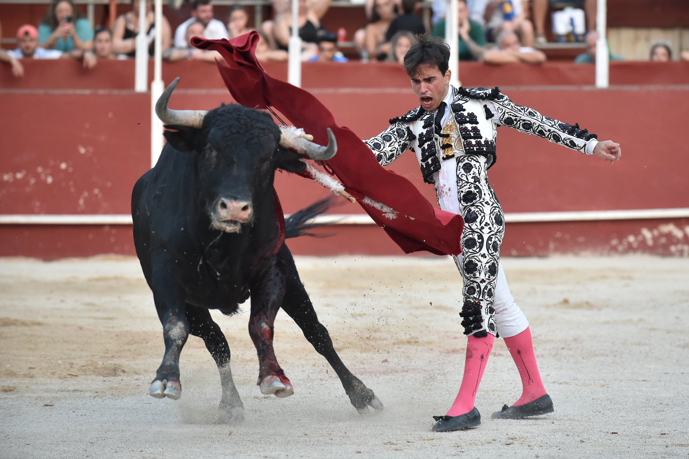 La segunda novillada de la Feria de Blanca, en imágenes