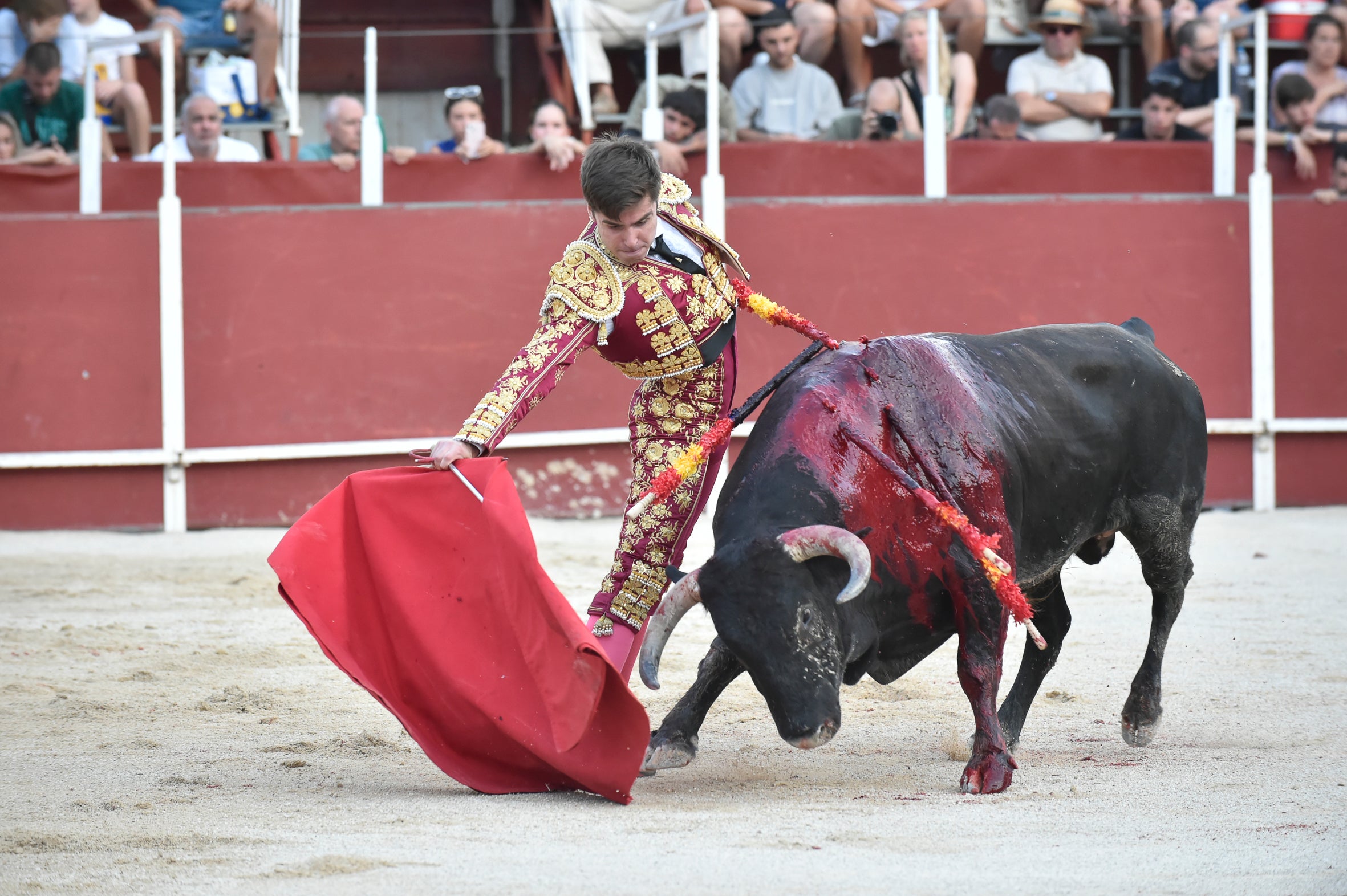 La segunda novillada de la Feria de Blanca, en imágenes