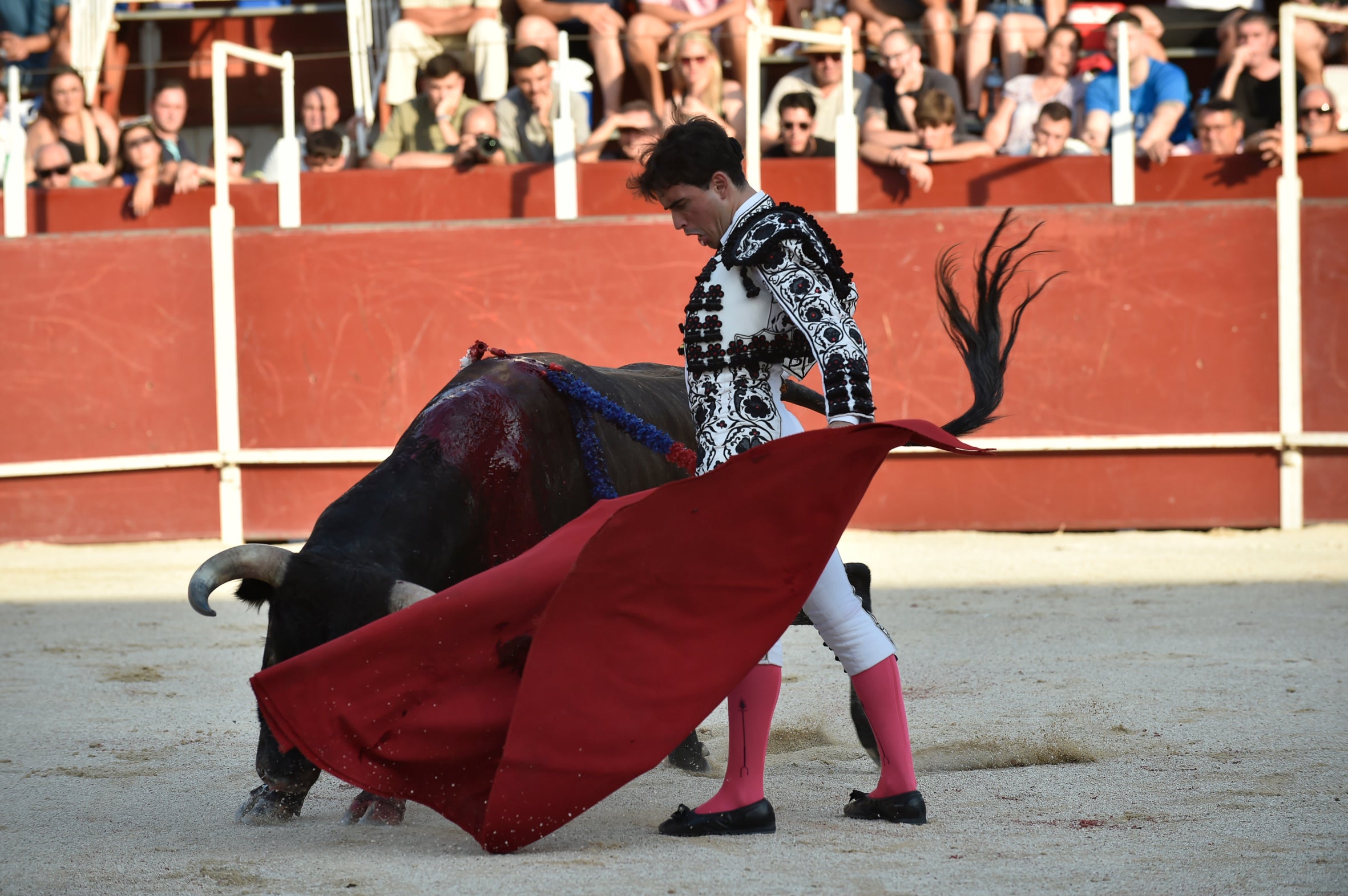 La segunda novillada de la Feria de Blanca, en imágenes